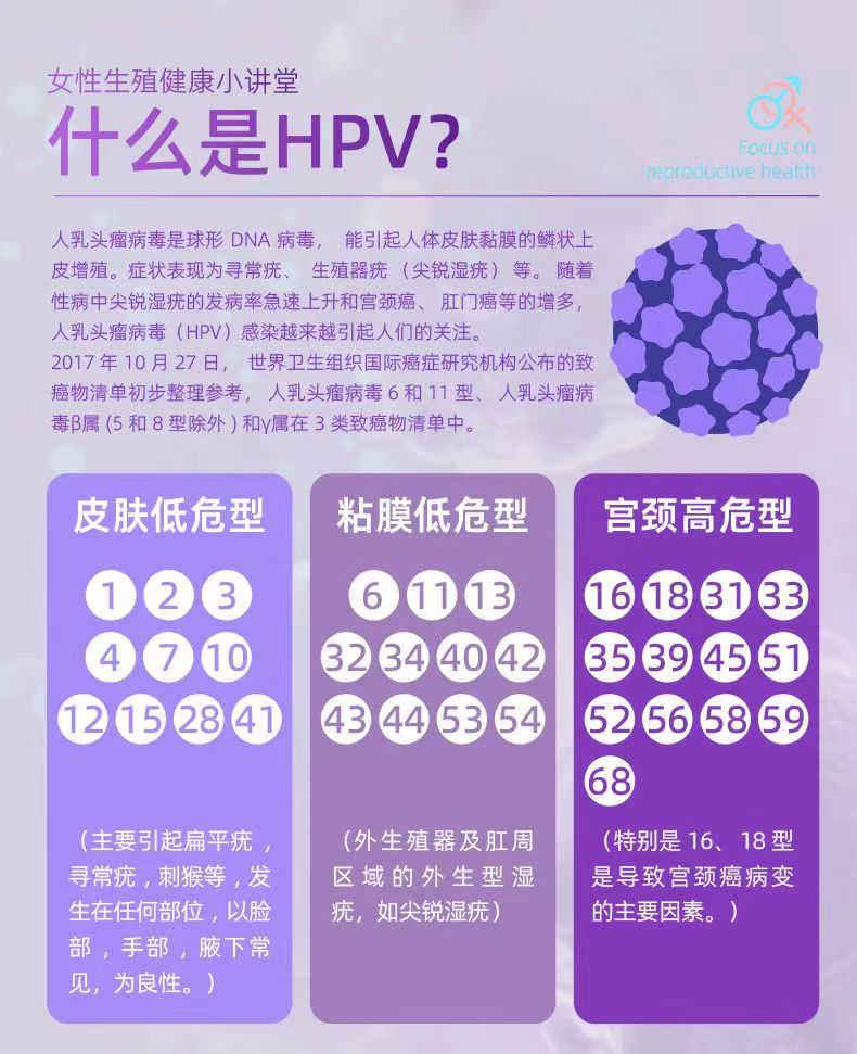 锦医舒抗HPV生物蛋白敷料临床优势